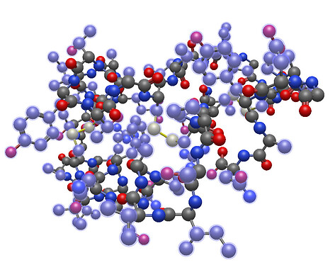 1crn showing sidechain atoms selected
